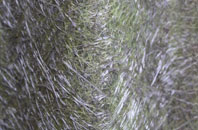 Horrabridge fibreglass roof work